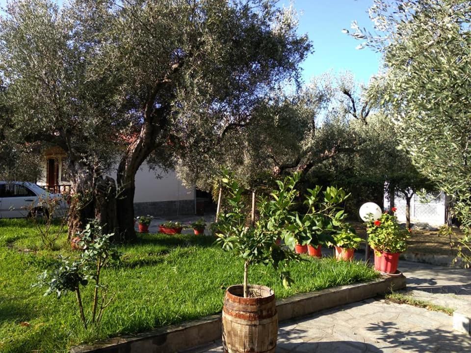 Villa Asimidou Agia Paraskevi  المظهر الخارجي الصورة