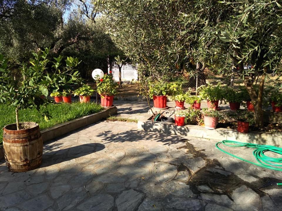 Villa Asimidou Agia Paraskevi  المظهر الخارجي الصورة