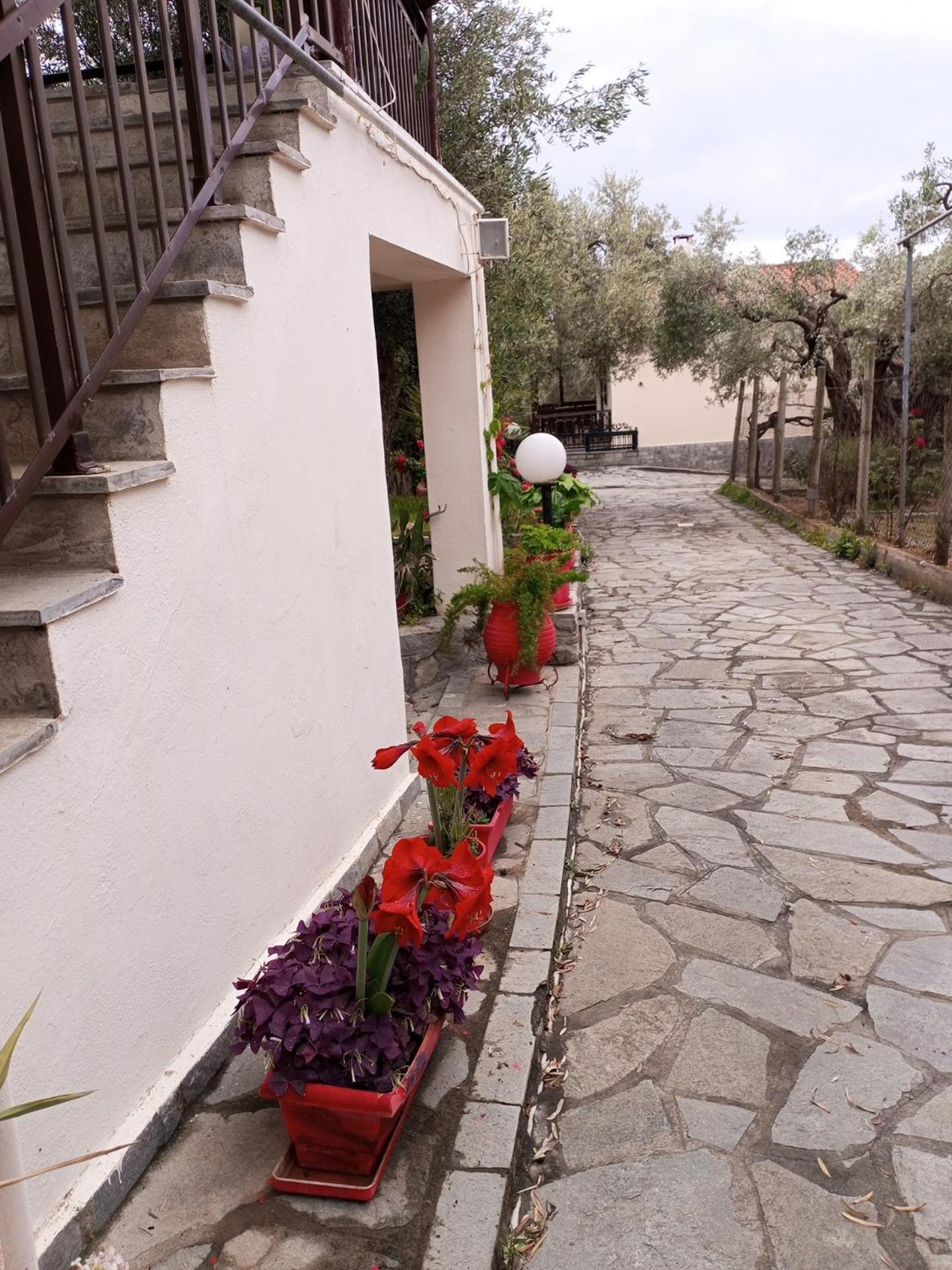 Villa Asimidou Agia Paraskevi  المظهر الخارجي الصورة