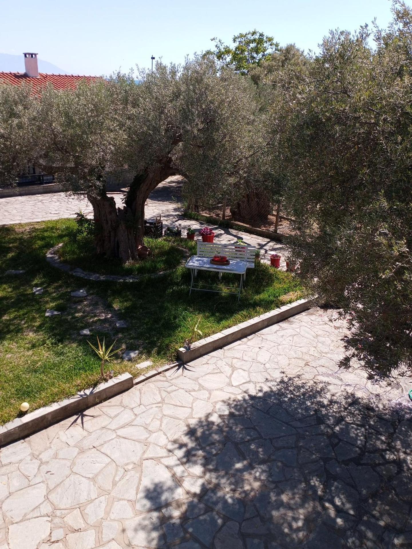 Villa Asimidou Agia Paraskevi  المظهر الخارجي الصورة